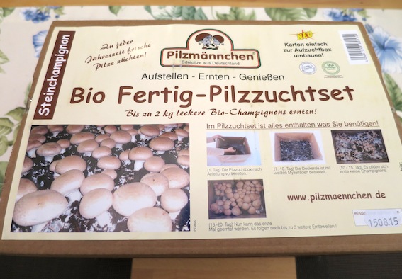 Pilze selber züchten