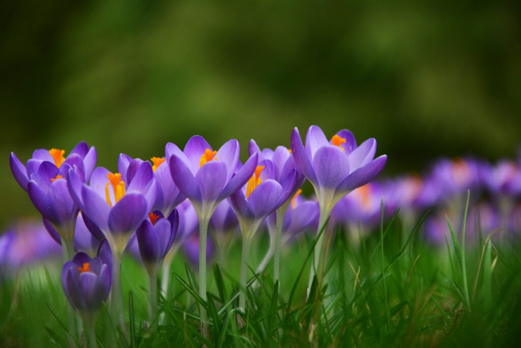 Der Frühling naht und unser Balkon wacht wieder auf
