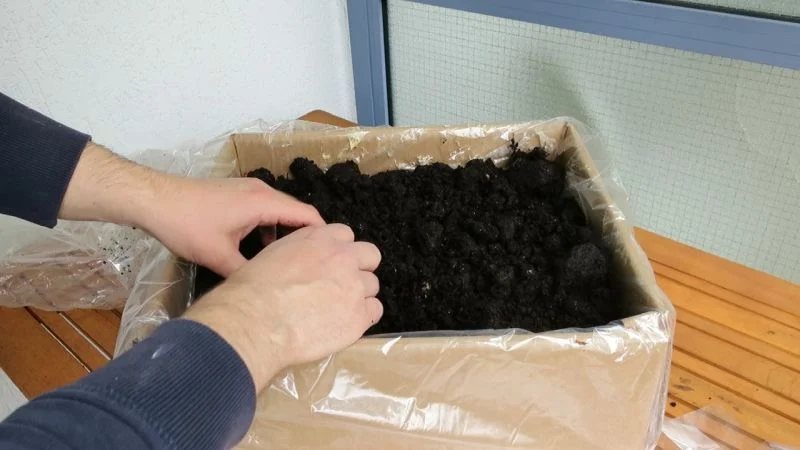 Pilzzuchtset vorbereiten