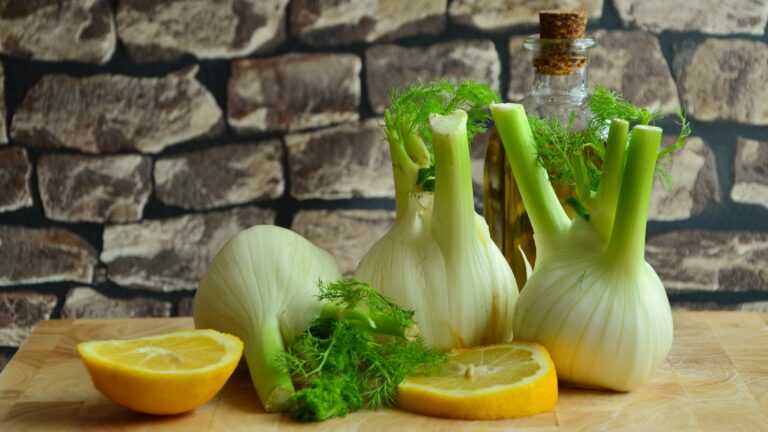 Fenchel auf dem Balkon anbauen